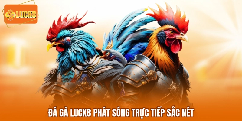 Đá gà LUCK8 phát sóng trực tiếp sắc nét